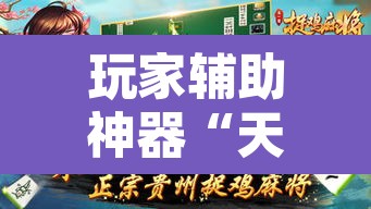 玩家辅助神器“天天贵阳麻将可以开挂吗”其实确实有挂