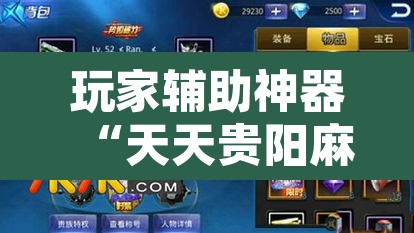 玩家辅助神器“天天贵阳麻将可以开挂吗	”其实确实有挂