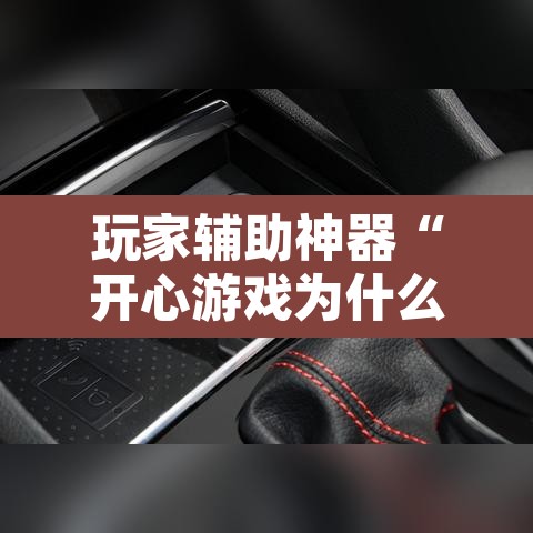 玩家辅助神器“开心游戏为什么一直输”其实确实有挂