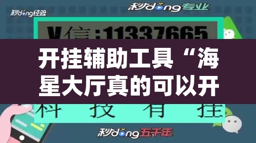 开挂辅助工具“海星大厅真的可以开挂吗”(透视挂)辅助透视教程
