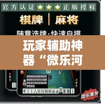 玩家辅助神器“微乐河北麻将万能开挂器通用版”(透视)其实确实有挂