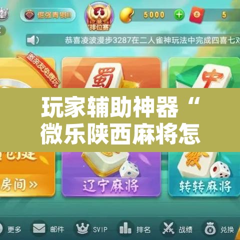 玩家辅助神器“微乐陕西麻将怎么提高胜率”附辅助神器开挂脚本详细步骤
