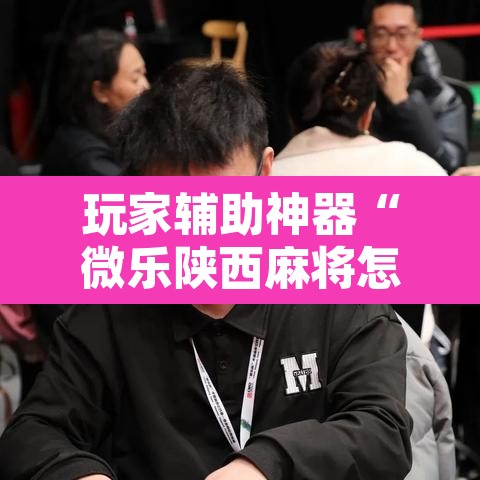 玩家辅助神器“微乐陕西麻将怎么提高胜率”附辅助神器开挂脚本详细步骤