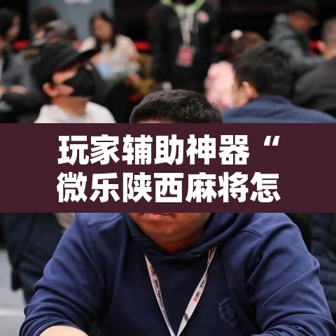 玩家辅助神器“微乐陕西麻将怎么提高胜率”附辅助神器开挂脚本详细步骤