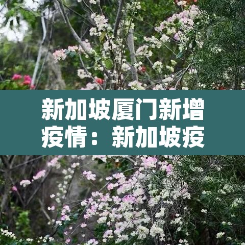 新加坡厦门新增疫情:新加坡疫情报道 新加坡厦门新增疫情:新加坡疫情报道