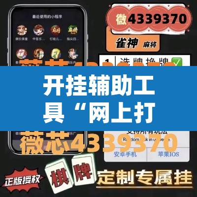 开挂辅助工具“网上打麻将怎么开挂的”(透视挂)辅助透视教程