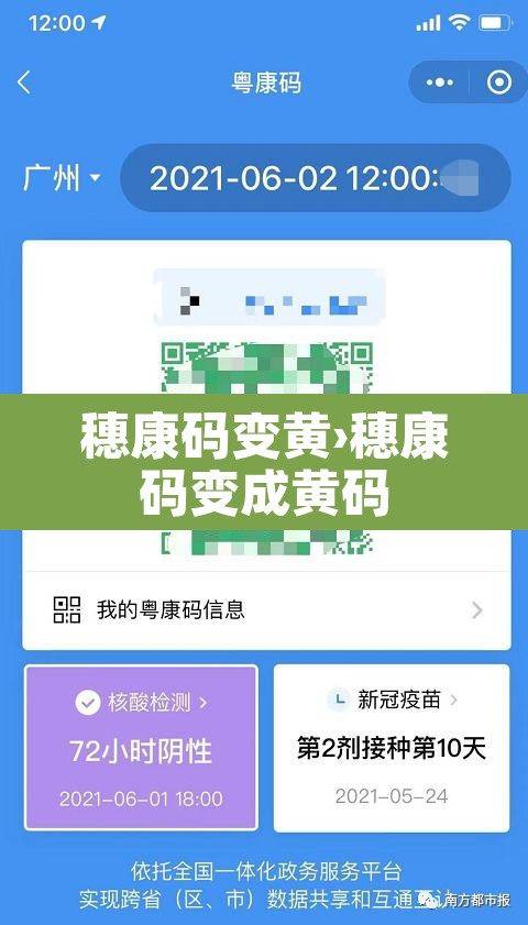穗康码变黄›穗康码变成黄码 穗康码变黄›穗康码变成黄码