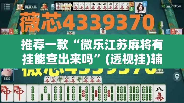 玩家辅助神器“新518互娱辅助挂”其实确实有挂
