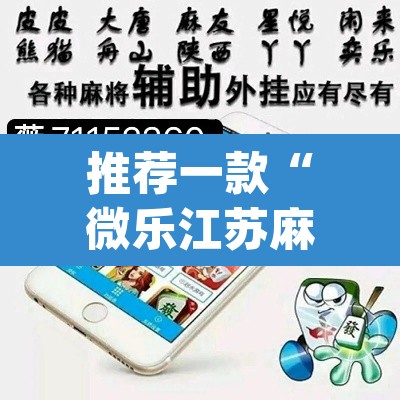 推荐一款“微乐江苏麻将有挂能查出来吗”(透视挂)辅助透视教程