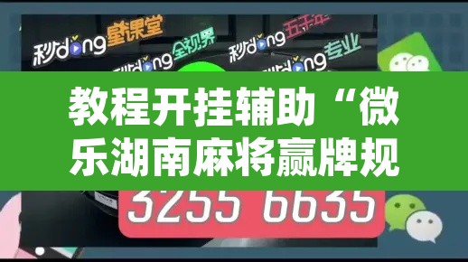 教程开挂辅助“微乐湖南麻将赢牌规律是啥	”(透视挂)辅助透视教程
