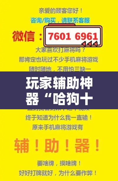 玩家辅助神器“哈狗十三道开挂辅助软件 ”其实确实有挂