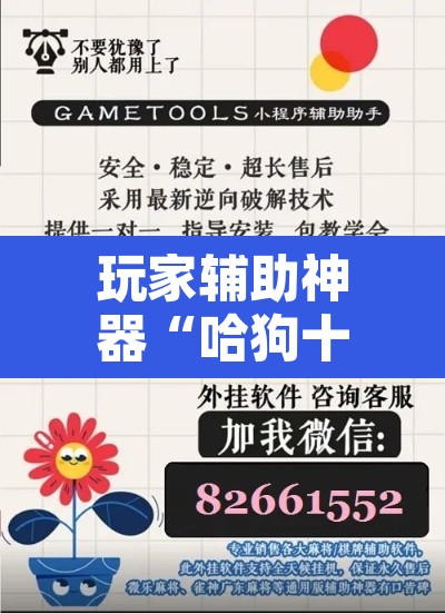 玩家辅助神器“哈狗十三道开挂辅助软件 ”其实确实有挂