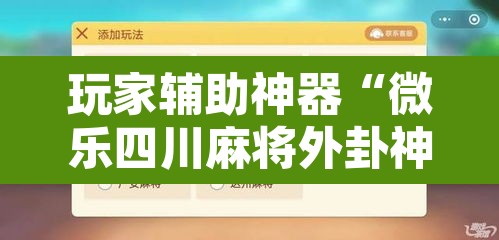 玩家辅助神器“微乐四川麻将外卦神器下载”开挂辅助脚本+详细开挂安装教程