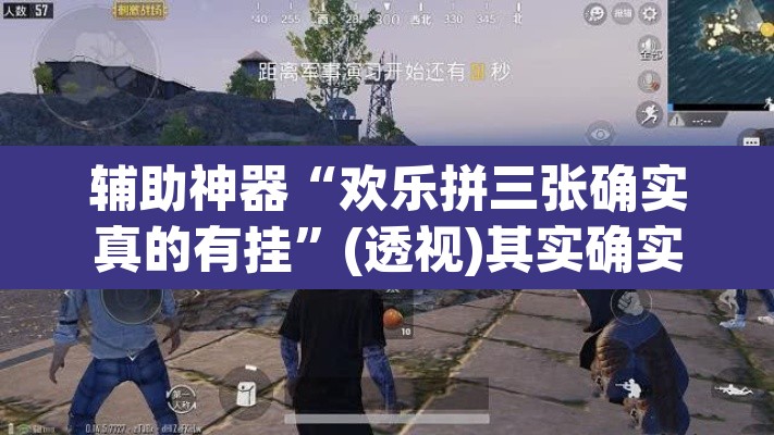辅助神器“欢乐拼三张确实真的有挂”(透视)其实确实有挂