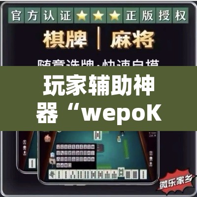 玩家辅助神器“wepoKER德州局透视外挂辅助”附辅助神器开挂脚本详细步骤