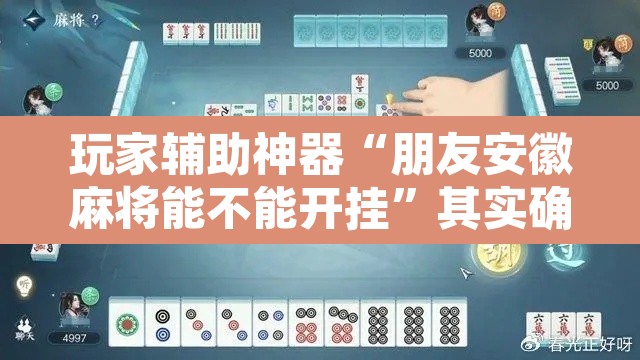 玩家辅助神器“朋友安徽麻将能不能开挂	”其实确实有挂