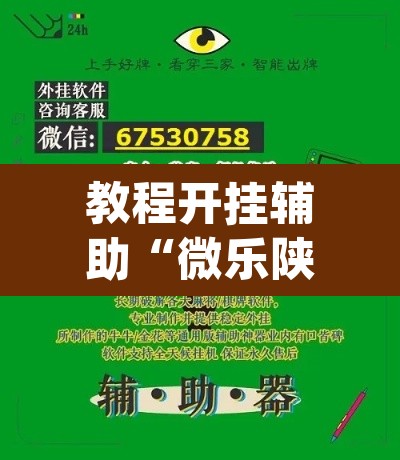 教程开挂辅助“微乐陕西挖坑可以开挂吗”(透视挂)辅助透视教程
