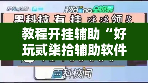 教程开挂辅助“好玩贰柒拾辅助软件”(透视)其实确实有挂