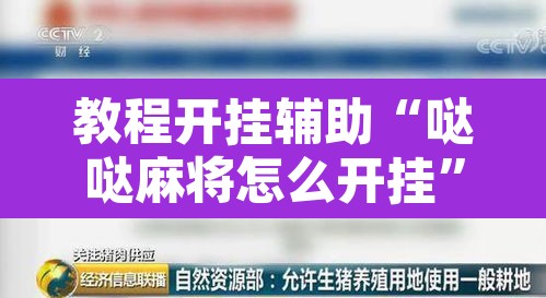 教程开挂辅助“哒哒麻将怎么开挂	”开挂辅助脚本+详细开挂安装教程