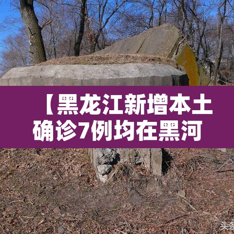 【黑龙江新增本土确诊7例均在黑河·黑龙江新增本土确诊8例!】