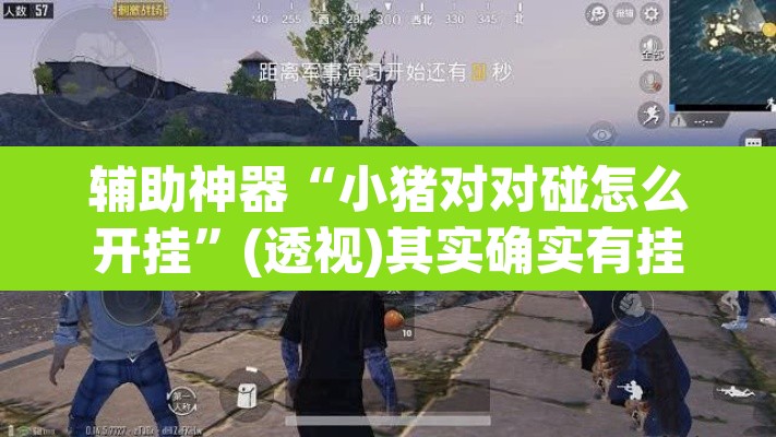 辅助神器“小猪对对碰怎么开挂”(透视)其实确实有挂