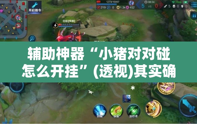 辅助神器“小猪对对碰怎么开挂”(透视)其实确实有挂