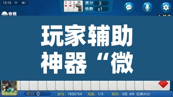 玩家辅助神器“微乐斗地主透视软件免费下载	”其实确实有挂