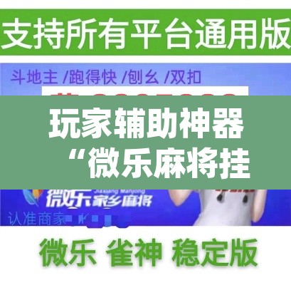 玩家辅助神器“微乐麻将挂先试用后付款”(透视)其实确实有挂