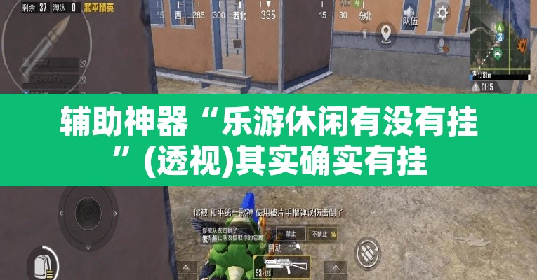 辅助神器“乐游休闲有没有挂”(透视)其实确实有挂