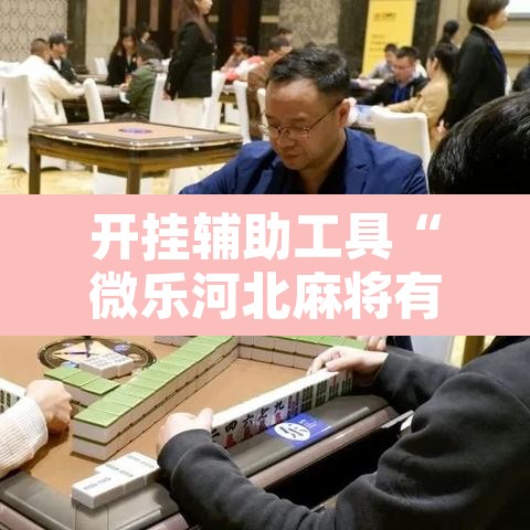 开挂辅助工具“微乐河北麻将有挂吗”其实确实有挂