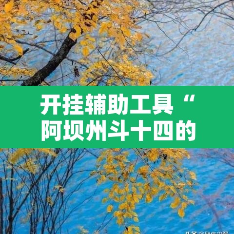 开挂辅助工具“阿坝州斗十四的确可以开挂	”其实确实有挂