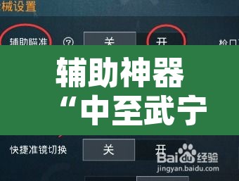 辅助神器“中至武宁双扣开挂神器	”开挂辅助脚本+详细开挂安装教程