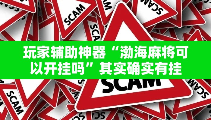 玩家辅助神器“渤海麻将可以开挂吗”其实确实有挂