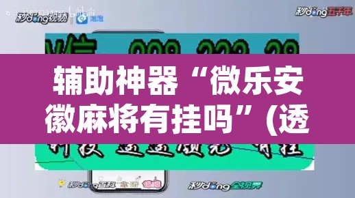 辅助神器“微乐安徽麻将有挂吗”(透视挂)辅助透视教程