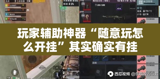 玩家辅助神器“随意玩怎么开挂”其实确实有挂