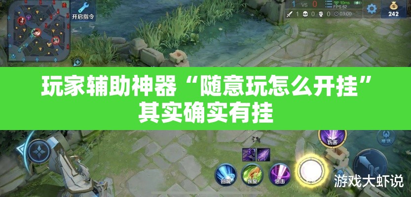 玩家辅助神器“随意玩怎么开挂”其实确实有挂