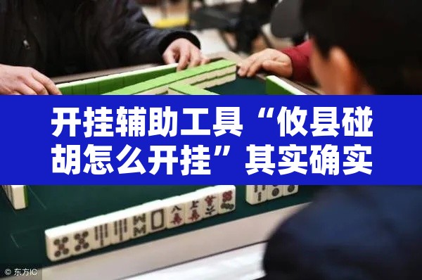 开挂辅助工具“攸县碰胡怎么开挂”其实确实有挂