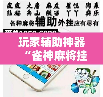 玩家辅助神器“雀神麻将挂先试用后付款	”(透视挂)辅助透视教程