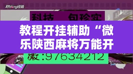 教程开挂辅助“微乐陕西麻将万能开挂器免费	”开挂辅助脚本+详细开挂安装教程