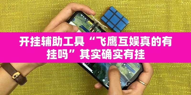开挂辅助工具“飞鹰互娱真的有挂吗”其实确实有挂