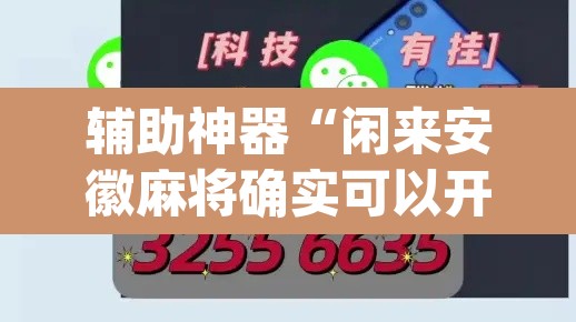 辅助神器“闲来安徽麻将确实可以开挂”(透视)其实确实有挂