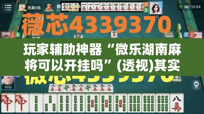 玩家辅助神器“微乐湖南麻将可以开挂吗”(透视)其实确实有挂