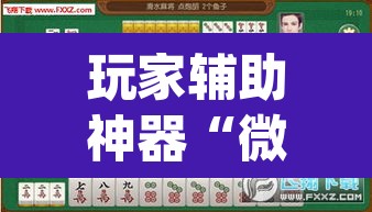 玩家辅助神器“微乐甘肃麻将万能开挂器通用版	”(透视)其实确实有挂