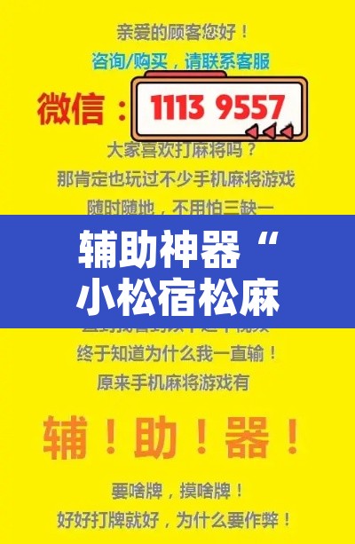 辅助神器“小松宿松麻将可以开挂吗”开挂辅助脚本+详细开挂安装教程