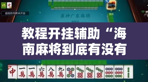 教程开挂辅助“海南麻将到底有没有挂”(透视)其实确实有挂