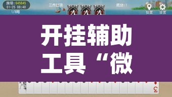 开挂辅助工具“微乐斗地主怎么才能让系统发好牌”(透视挂)辅助透视教程