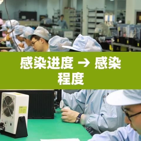 感染进度 → 感染程度 感染进度 → 感染程度