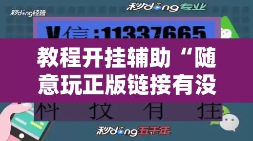教程开挂辅助“随意玩正版链接有没有挂”(透视挂)辅助透视教程