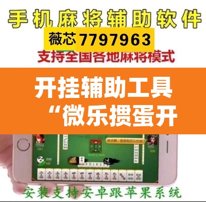 开挂辅助工具“微乐掼蛋开挂下载安装	”(透视挂)辅助透视教程