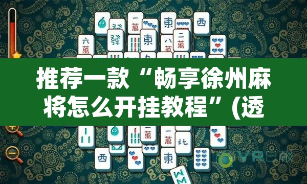 推荐一款“畅享徐州麻将怎么开挂教程”(透视)其实确实有挂